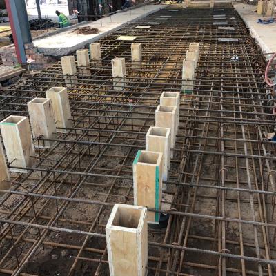 Factory Tissue Plant